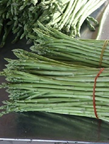 Asparagus fresh thailand exporter