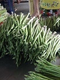 Asparagus fresh for export