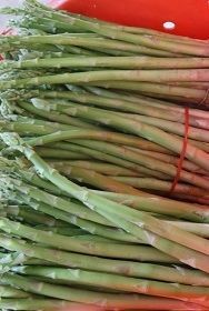 Jumbo size of asparagus thailand