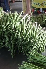 Fresh asparagus exporter quality