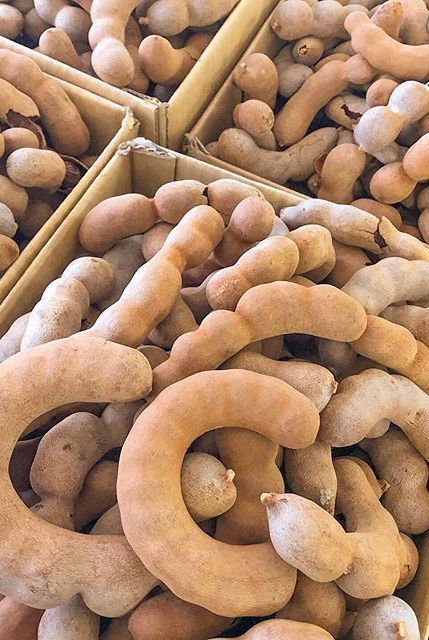 Export tamarind to taiwan usa for cooking and food fruit dry Our tamarinds are ready to eat as all seeds are removed from every pod. We select large sized sour tamarind pods, which go through pickle p