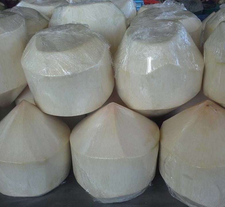Coconut fresh thailand