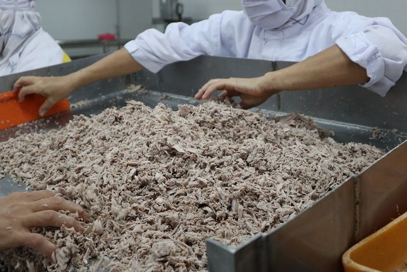 Canned tuna prepare shipment by staff