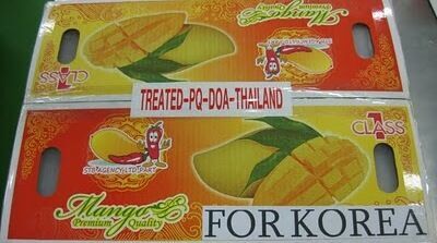 Mango for korea exporting quality